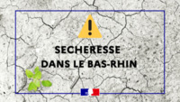 Alerte scheresse