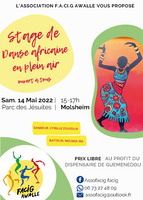 Stage de danse africaine en plein air