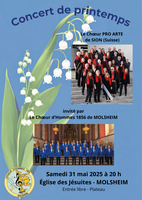 Concert 
