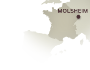 Carte de la Ville de Molsheim(67)