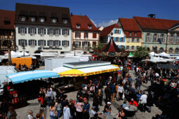 Braderie de Molsheim