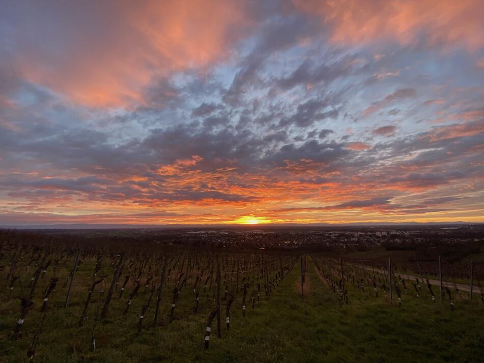 Lever de soleil hivernal