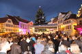 Chantons Nol sous le sapin