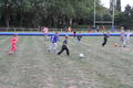 Fte du sport