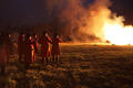 Flambes des sapins 
