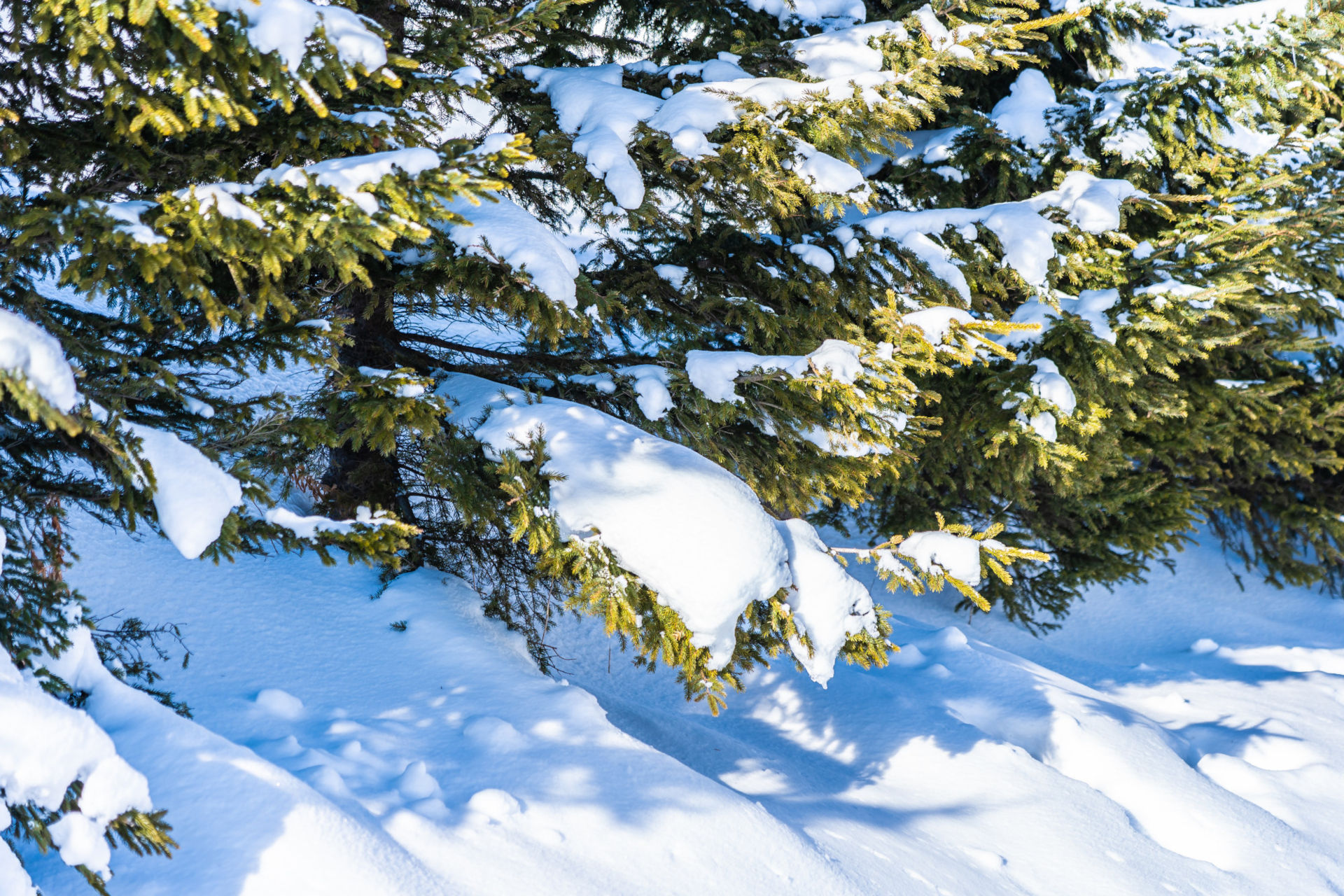 Déneigement