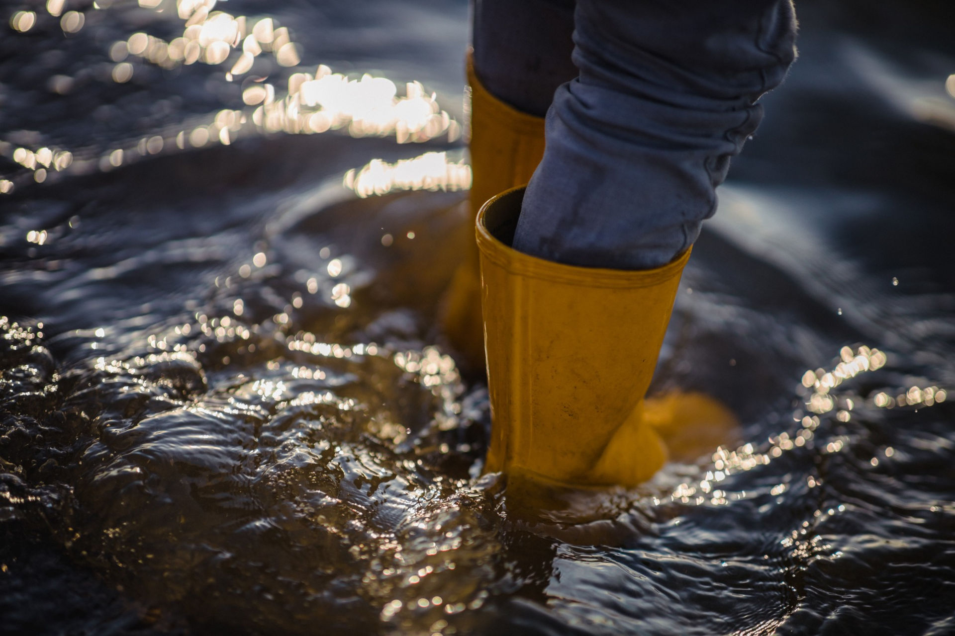 Plan de Prévention des Risques d’Inondations (PPRI)