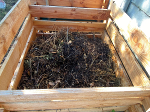 atelier-compostage-jardin-20220831IMG_99520036