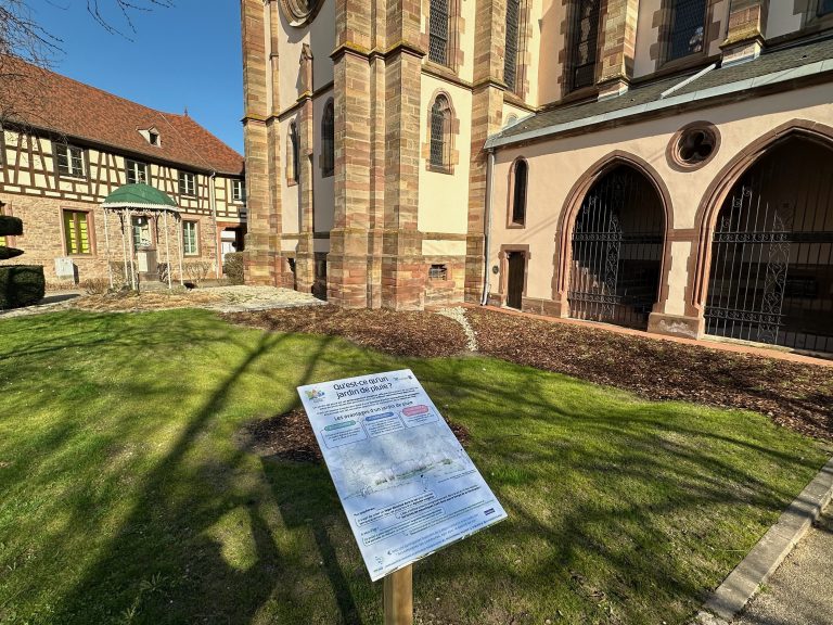 Un jardin de pluie est un aménagement simple et efficace permettant de recueillir les eaux de pluie issues des gouttières pour les infiltrer naturellement dans le sol.